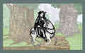 HorseShorts - A Galloping Medley of Horse Inspired Videos